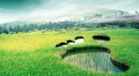Sustainability of the product and the company..